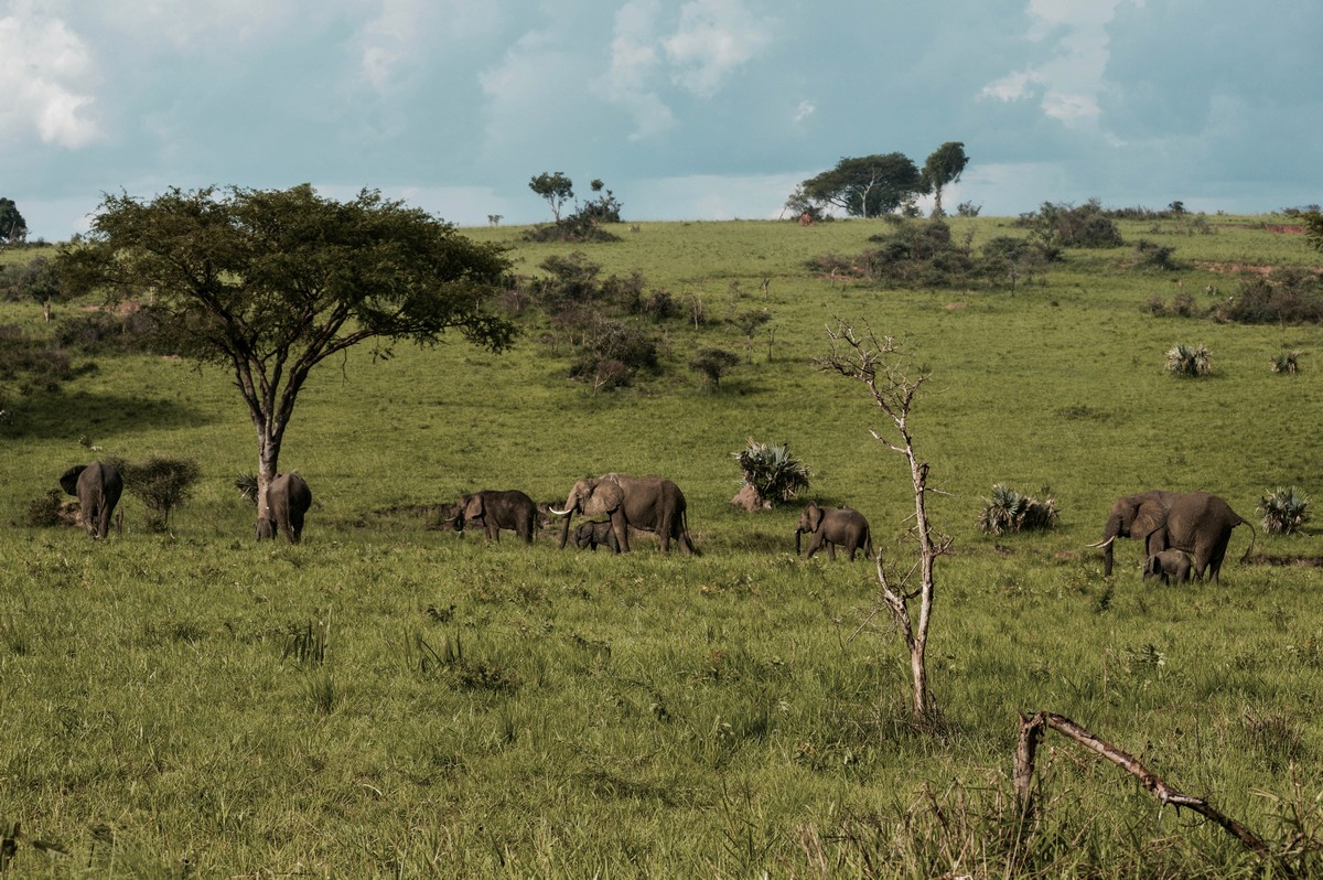 Uganda: the youngest country in the world