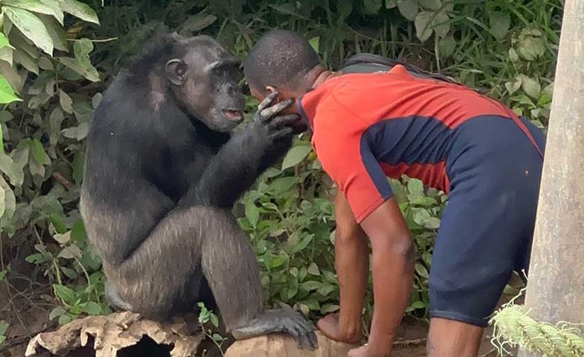 A Client’s Story: Adventure in the Two Congos!