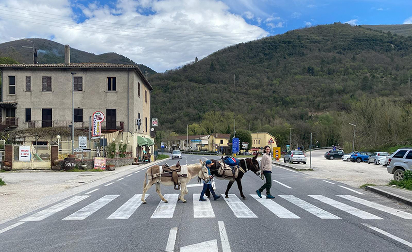 Family Trekking in Umbria with Donkeys - Self Guided 