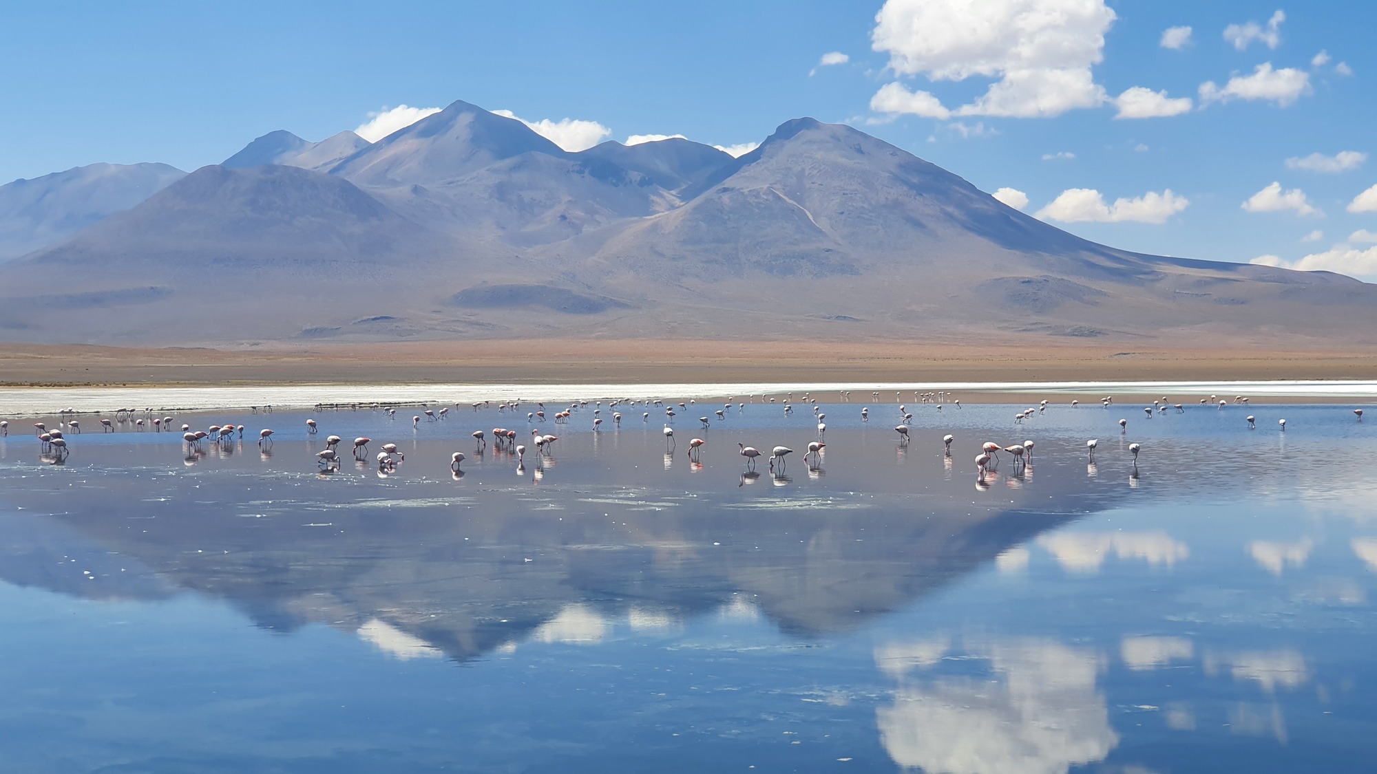 Best of Bolivia